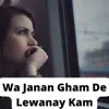 janisar wazir - Wa Janan Gham De Lewanay Kam - EP